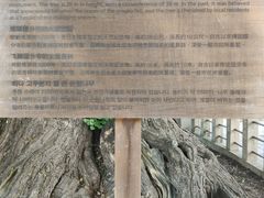 -医王山·飞騨国分寺