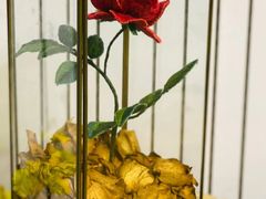 -K·Kitchen KK牛扒厨房(江南西店)