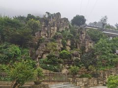 -老幺泉水鸡