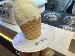 -野人牧坊Gelato(天津南开大悦城店)