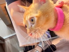 -官塘陈记鱼生·潮汕砂锅粥·牛肉火锅(潮枫路总店)