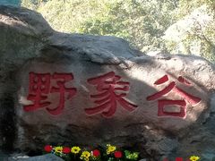-野象谷景区
