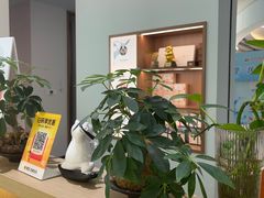 -长风拨筋养身(金虹桥店)
