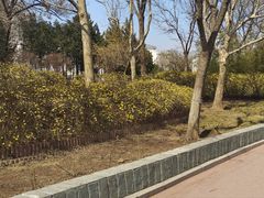-滨河世纪广场公园