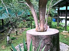 -乌鲁淡布隆国家公园