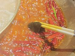 -小龙坎火锅(春熙太古里店)
