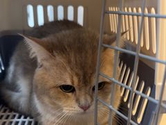 -宠颐生汉谟拉比宠物医院