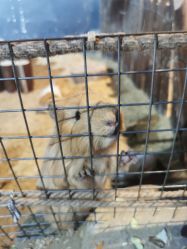 -酷嗒动物文化乐园(cutezoo西溪乐天城店)