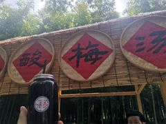 -黄海国家森林公园