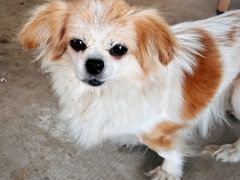 -金逸影城(中关村店)