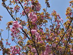 -杭州师范大学(下沙校区)