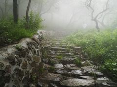 -阳台山自然风景区