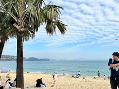 -大梅沙海滨公园