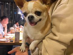 -Secco德式餐吧(南秀村店)