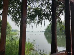 -贡湖湾湿地公园