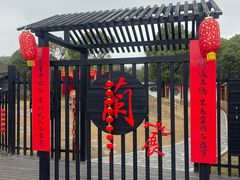 -香雪海