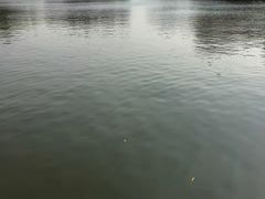 -葫芦古镇关东民俗雪乡