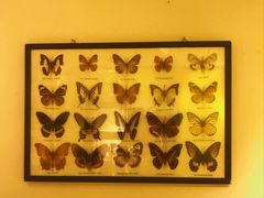 -恋物百货商店(华侨城店)