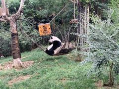 -济南野生动物世界