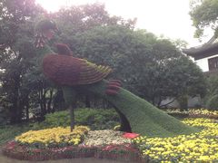 -汇龙潭