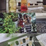 广州茶室推荐|Lighthouse筑茶