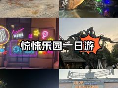 -常州环球恐龙城维景国际大酒店