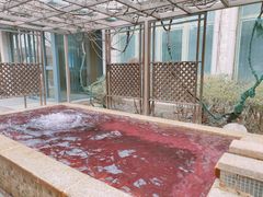 -春晖园度假酒店温泉