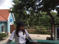 -八大关景区