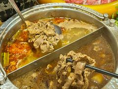 -一绪に寿喜烧自助(世茂广场店)