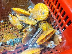 -巽寮印象美食部落餐厅·海鲜·地方特色菜(惠州体验店)