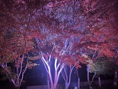 -滨湖塘西河公园