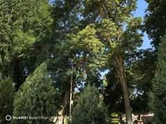 -张掖大佛寺景区