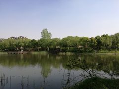 -新江湾城公园