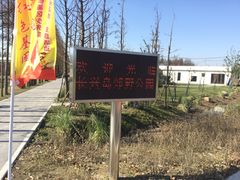 -上海长兴岛郊野公园