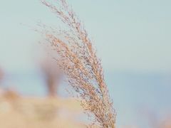 -西山风景区