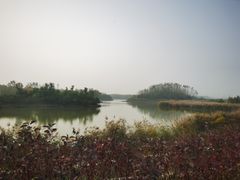 -塘沽森林公园