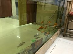 -映像威海·海鲜味道(经区店)