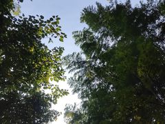 -云栖竹径