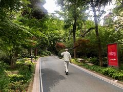 -人民公园-相亲角