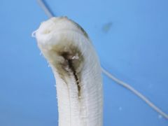 -永辉超市(嘉定宝龙广场店)