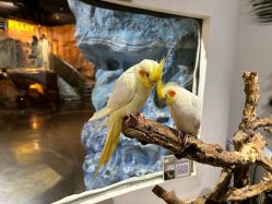 -Zoolung Zoolung动物主题公园(海信广场店)