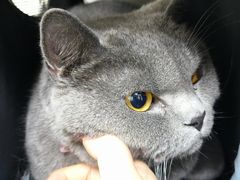 -贝康宠物医院·犬猫全科·小动物特色诊疗中心(东环路店)
