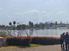 -云里小坐·海泉湾·团建·宴席·下午茶(金堂海泉湾店)