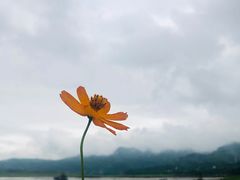 -木洞河街