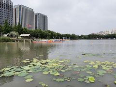 -南翔镇银翔湖公园