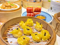 -点都德·毕德寮