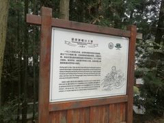 -井冈山风景名胜区-黄洋界