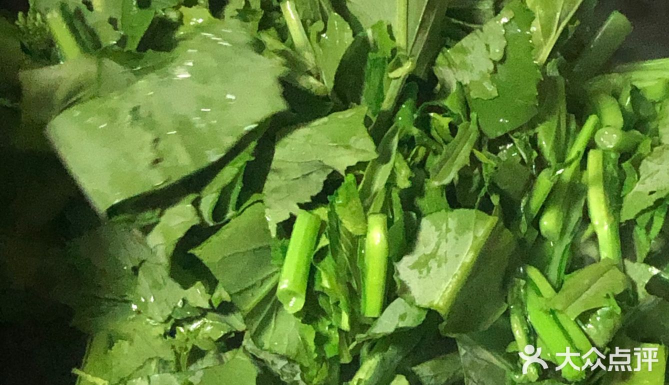 宁波美食|现摘的当季时蔬菜蕻～有点甜