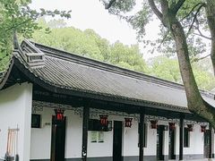 -上海佘山国家森林公园天马山园