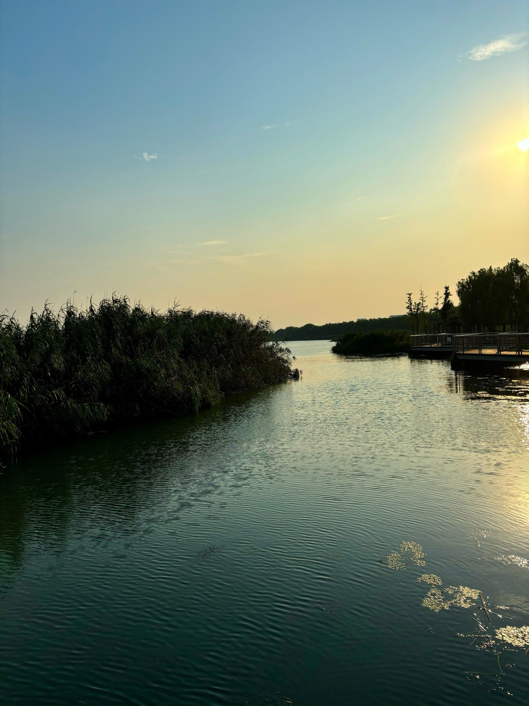 周末湖边垂钓的惬意